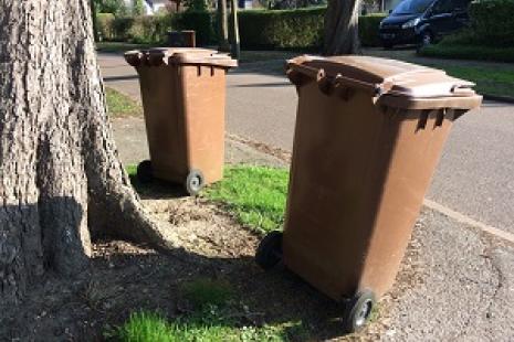 Garden waste bins