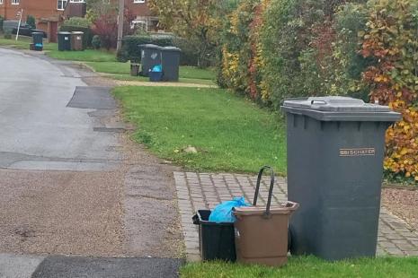 A street scene of wheelie bins and boxes with blue bags at the end of people's drives lining the road