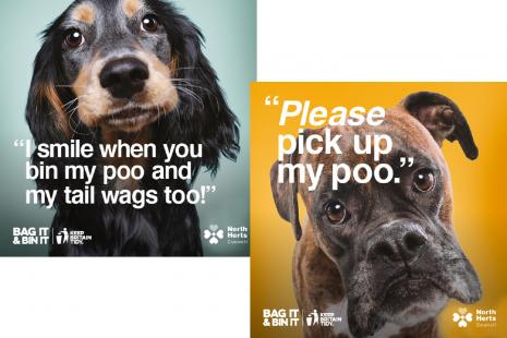 Bag it and Bin it campaign poster