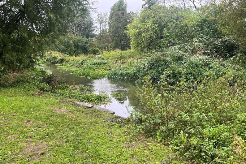 View of the River Purwell, with trees and bushes lining banks on either side