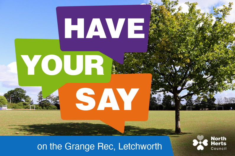 Graphic with words 'Have your say' in colourful speech bubbles overlaid a photo of the rec with a tree and goal posts in view