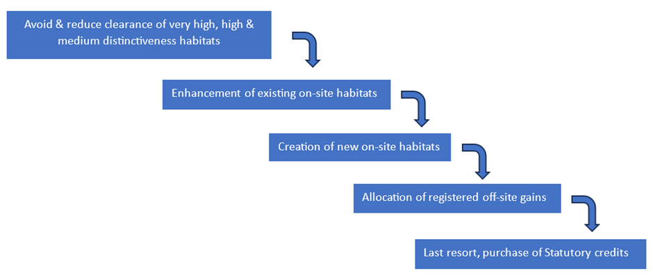 The Biodiversity Gain hierarchy. Avoid and reduce clearance of very high, high and medium distinctiveness habitats; enhancement of existing on-site habitats; creation of new on-site habitats; allocation of registered off-site gains; Last resort, purchase of statutory credits.